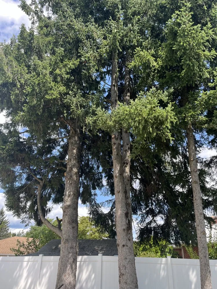 Professional landscape installation with custom design across Howell, NJ - Benites Tree Service