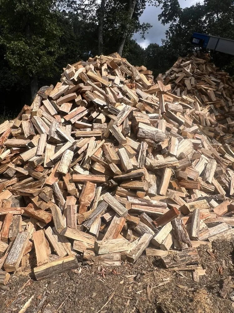 Expert landscape design experts serving Howell, NJ - Benites Tree Service