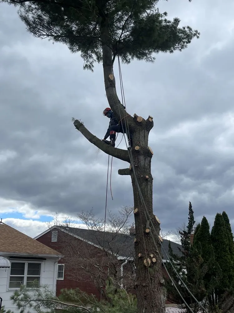 Custom landscape design experts serving Howell, NJ - Benites Tree Service