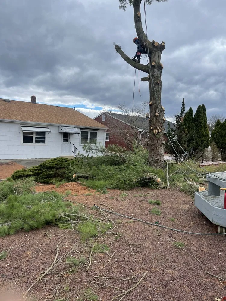 Reliable lawn care service with custom design across Howell, NJ - Benites Tree Service