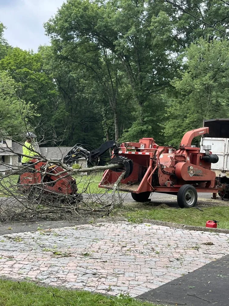 Trusted residential landscaping in Howell, NJ - Benites Tree Service