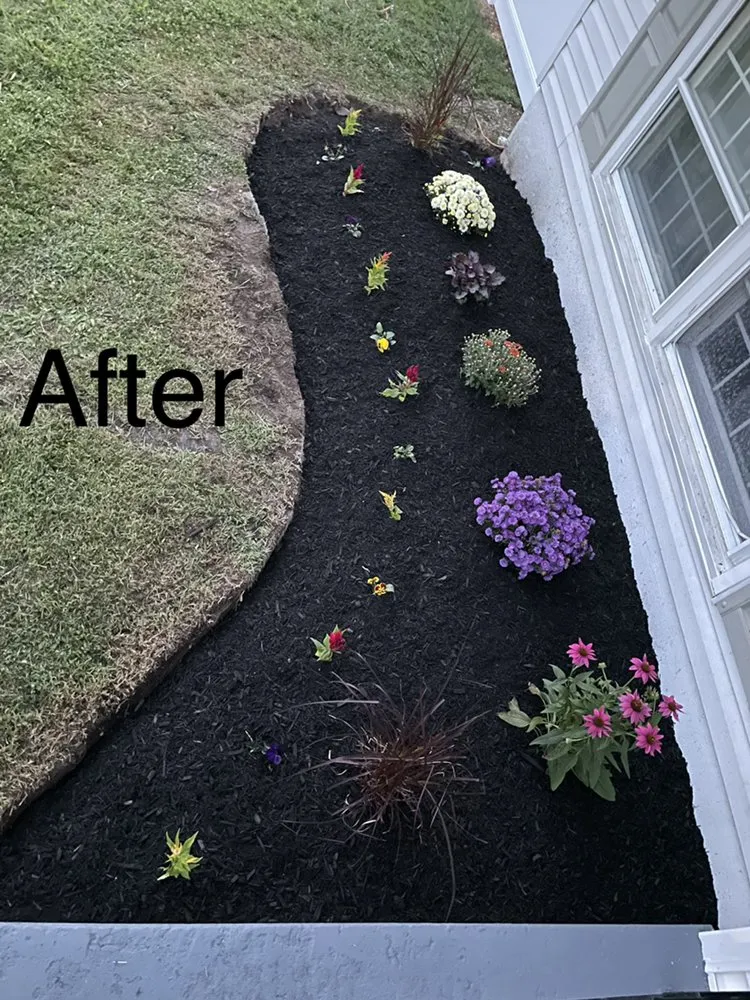Local yard maintenance experts serving Bridgeton, NJ - Benitez & Sons Lawn Service