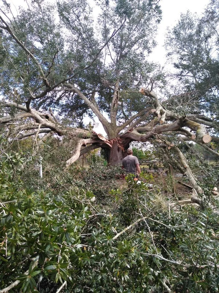 Trusted residential landscaping experts serving Haines City, FL - Benitez and Sons