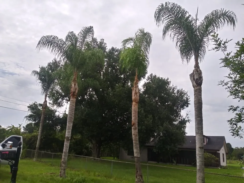 Reliable lawn care service for outdoor upgrades in Haines City, FL by Benitez and Sons