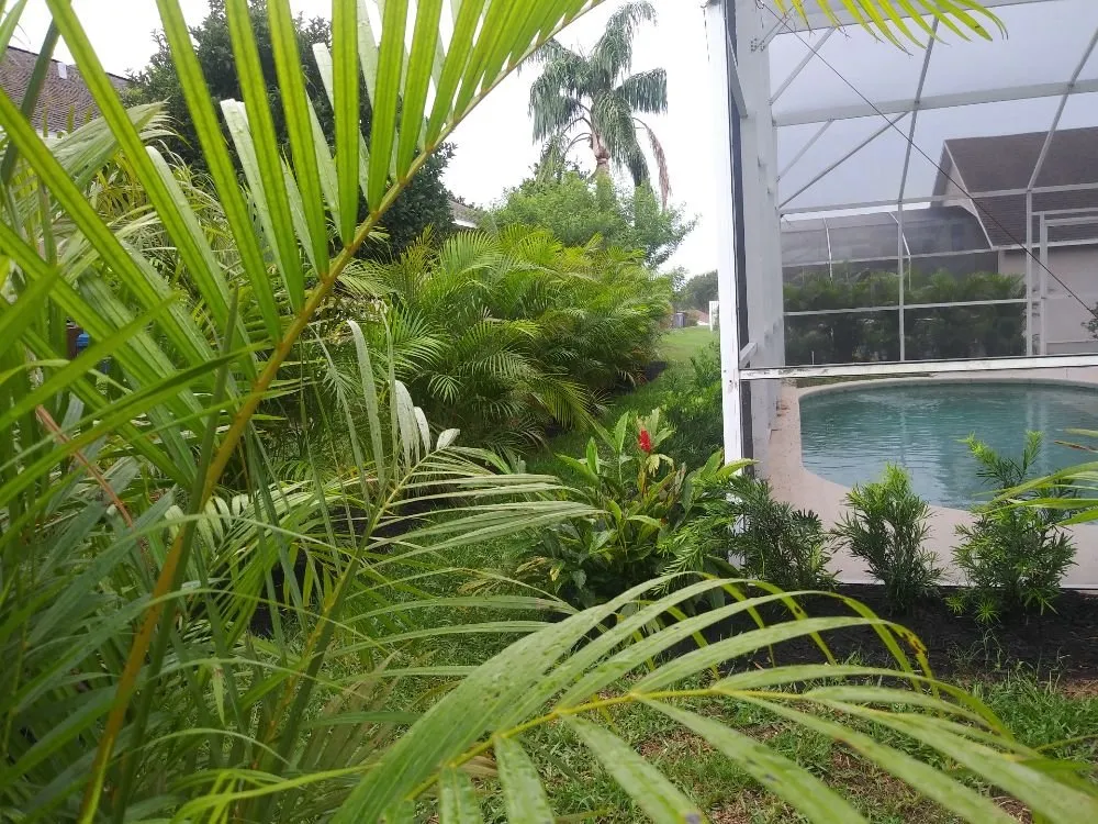 Professional yard maintenance in Haines City, FL by Benitez and Sons