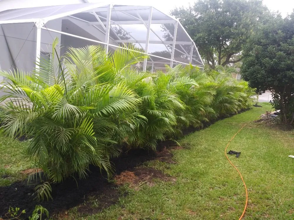 Custom lawn care service in Haines City, FL - Benitez and Sons