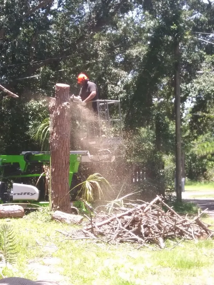 Professional landscaping services in Haines City, FL by Benitez and Sons