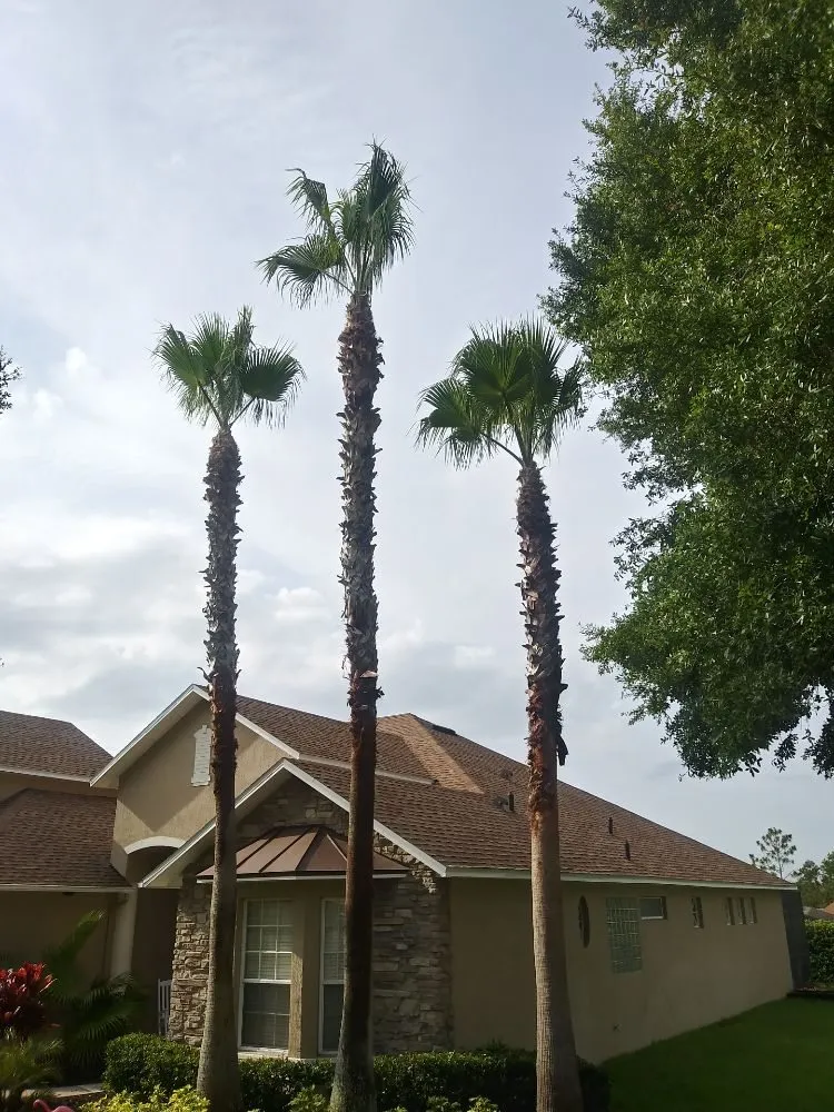 Local outdoor landscaping in Haines City, FL by Benitez and Sons