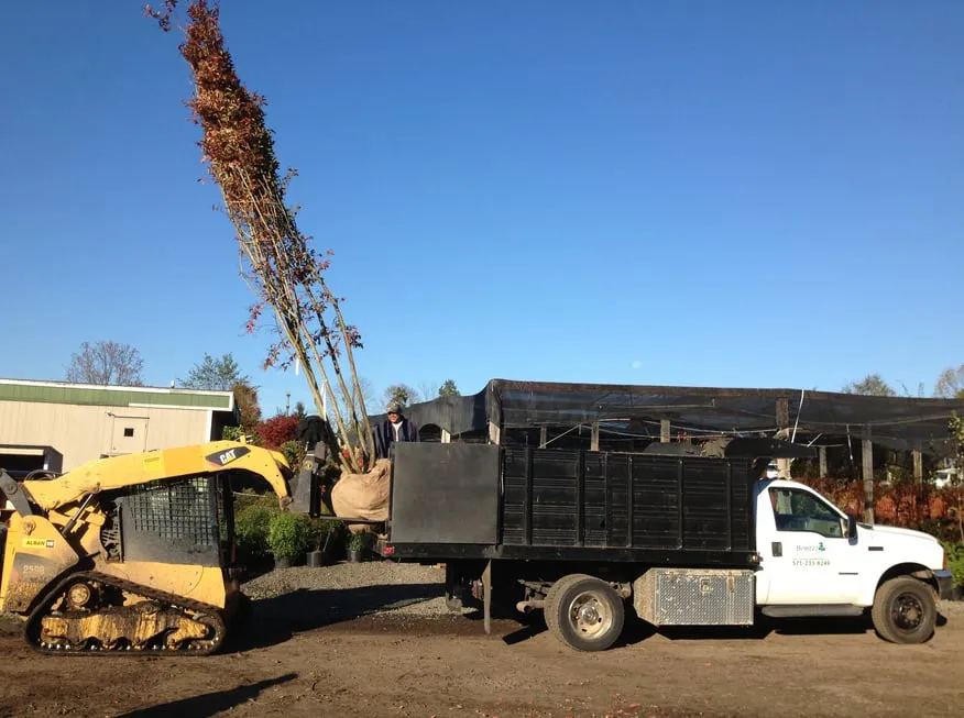 Local residential landscaping in Leesburg, VA by Benitez Landscape & Design