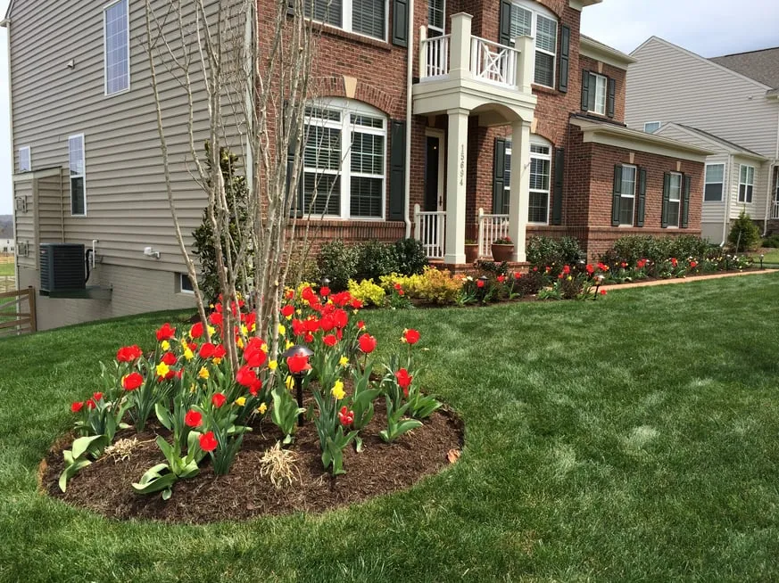 Trusted lawn care service in Leesburg, VA by Benitez Landscape & Design