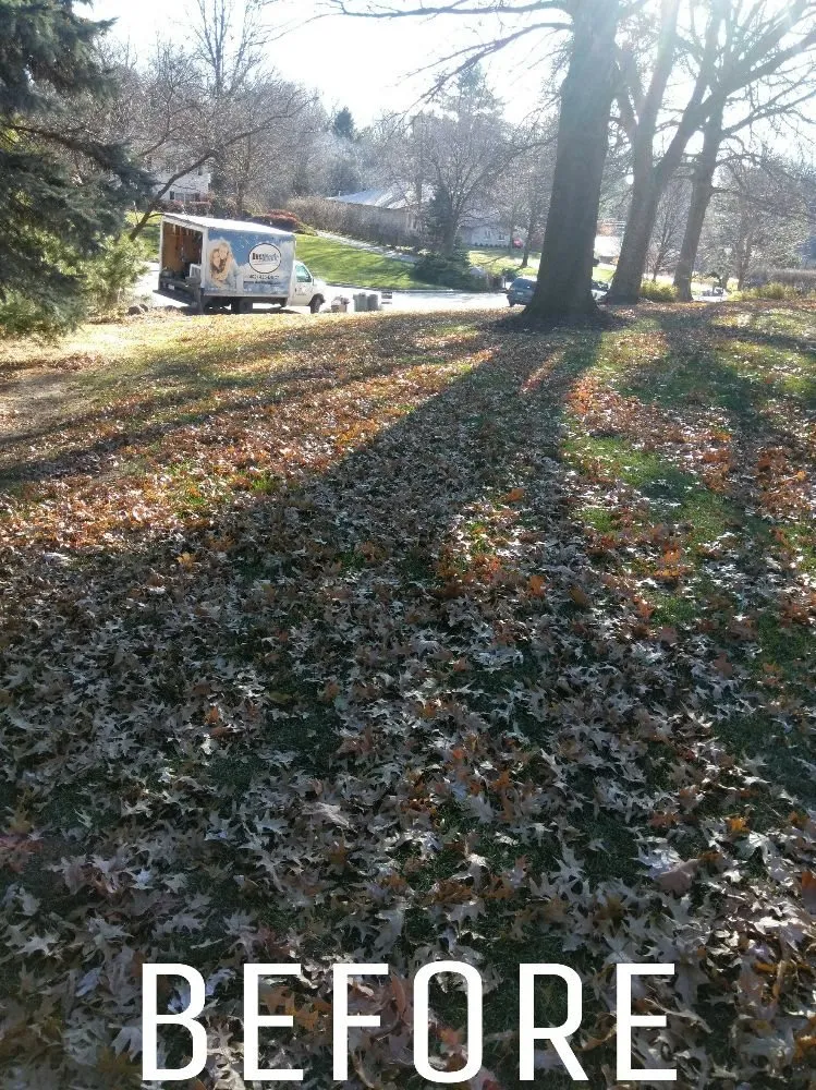 Reliable lawn mowing service in Omaha, NE by Benitez Landscaping & Lawns