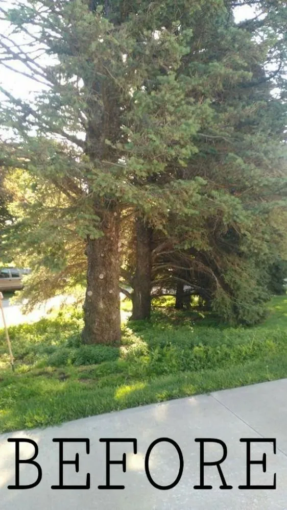 Trusted outdoor landscaping in Omaha, NE by Benitez Landscaping & Lawns