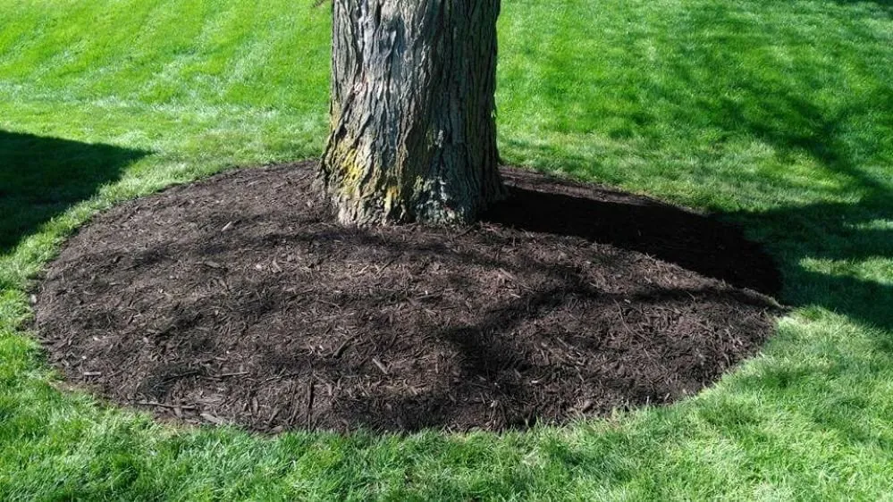 Custom lawn mowing service in Omaha, NE - Benitez Landscaping & Lawns