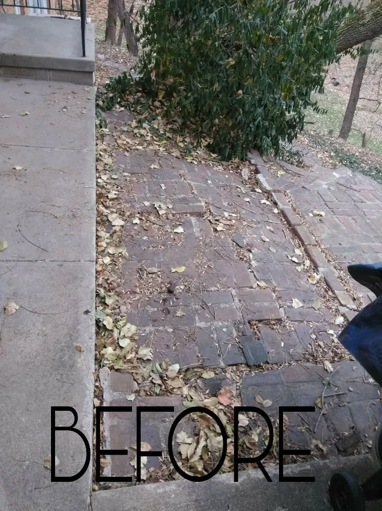 Trusted lawn mowing service in Omaha, NE - Benitez Landscaping & Lawns