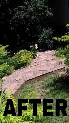 Benitez Landscaping & Lawns Logo