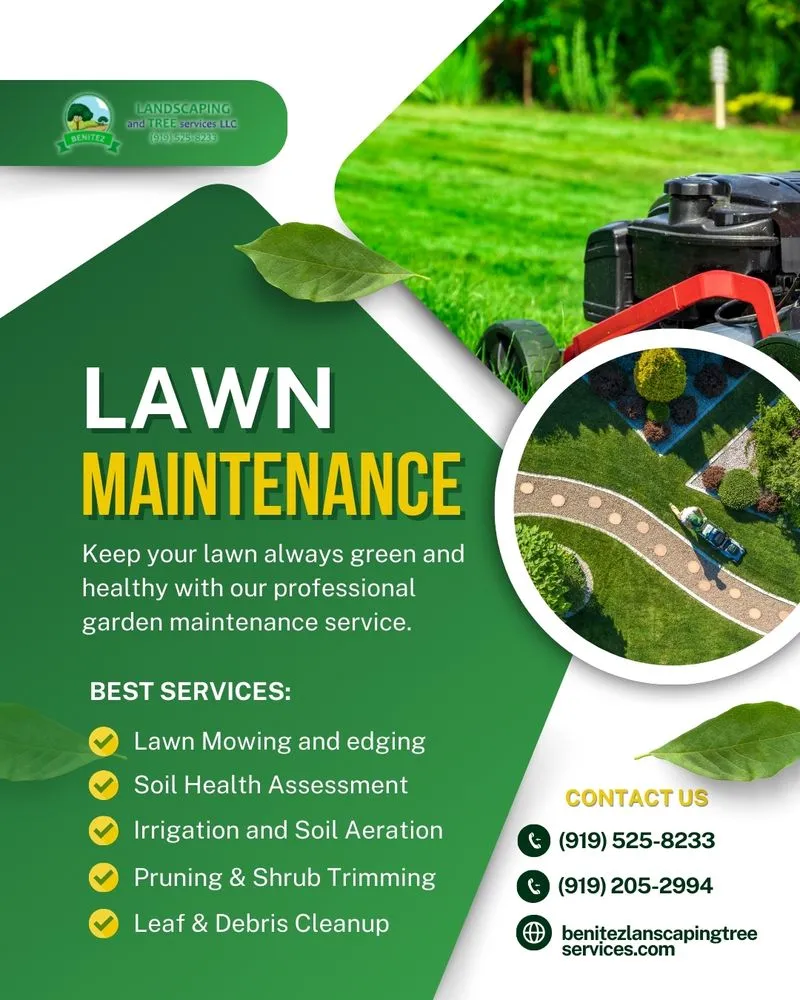 Affordable yard maintenance near you in Raleigh, NC by Benitez Landscaping & Tree Services - Raleigh