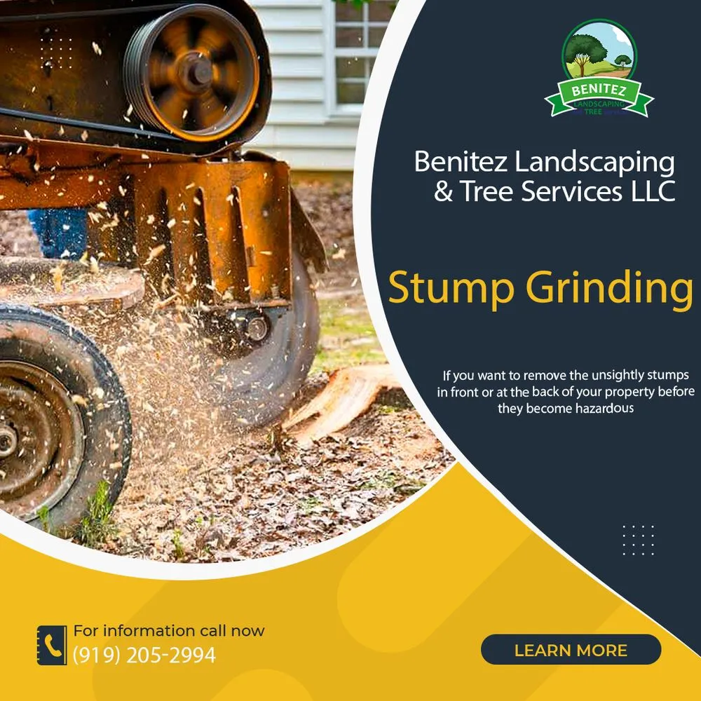 Trusted landscaping services for year-round maintenance across Raleigh, NC - Benitez Landscaping & Tree Services - Raleigh