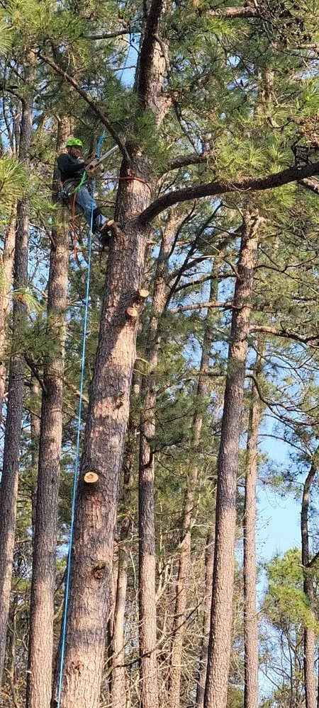 Top-rated landscape design experts serving Raleigh, NC - Benitez Landscaping & Tree Services - Raleigh