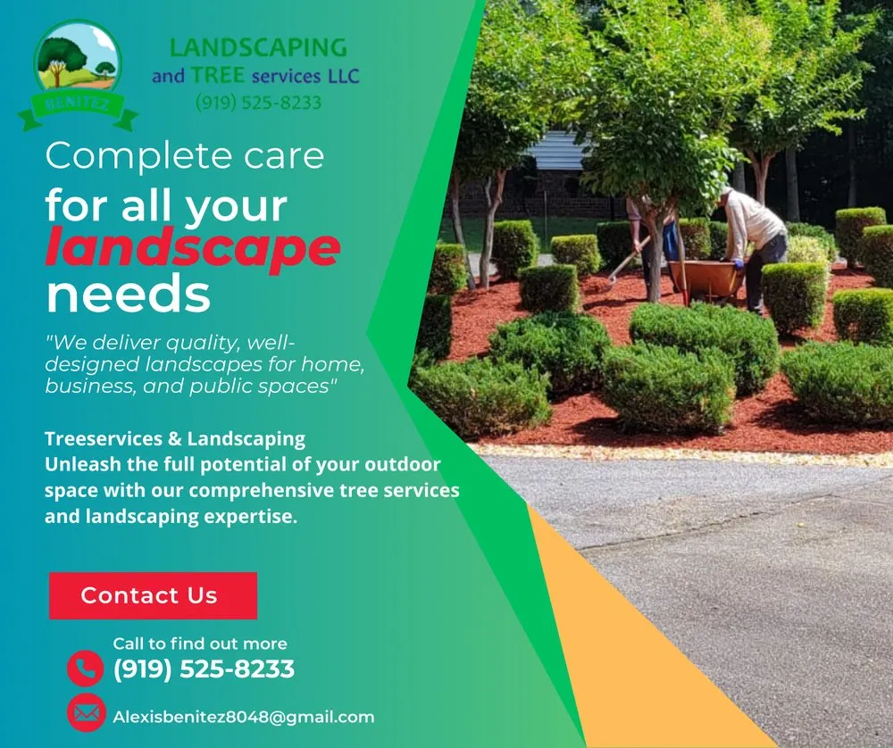 Expert lawn care service in Raleigh, NC by Benitez Landscaping & Tree Services - Raleigh