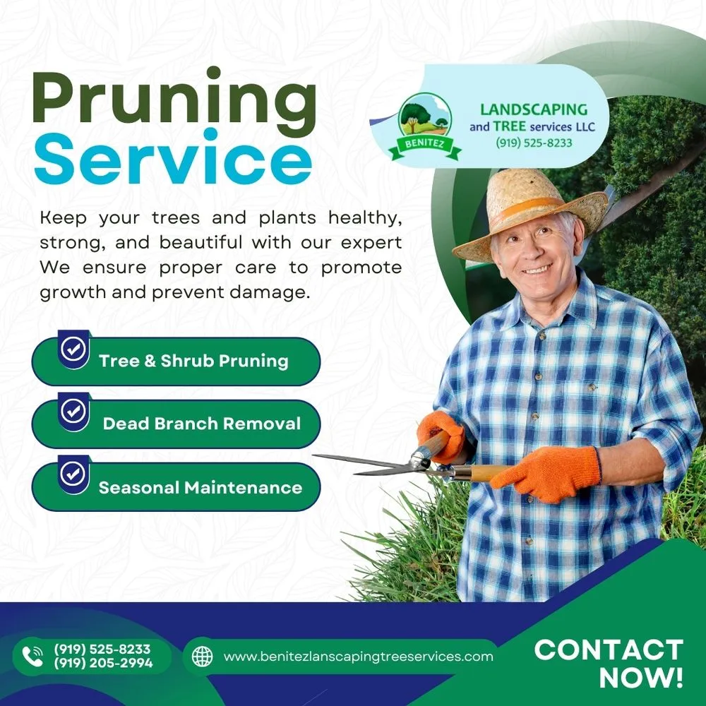 Local yard cleanup service in Raleigh, NC by Benitez Landscaping & Tree Services - Raleigh