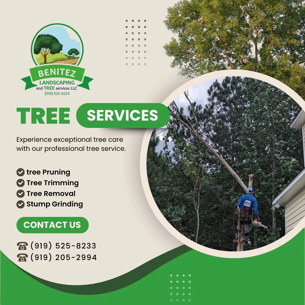Professional outdoor landscaping in Raleigh, NC by Benitez Landscaping & Tree Services - Raleigh
