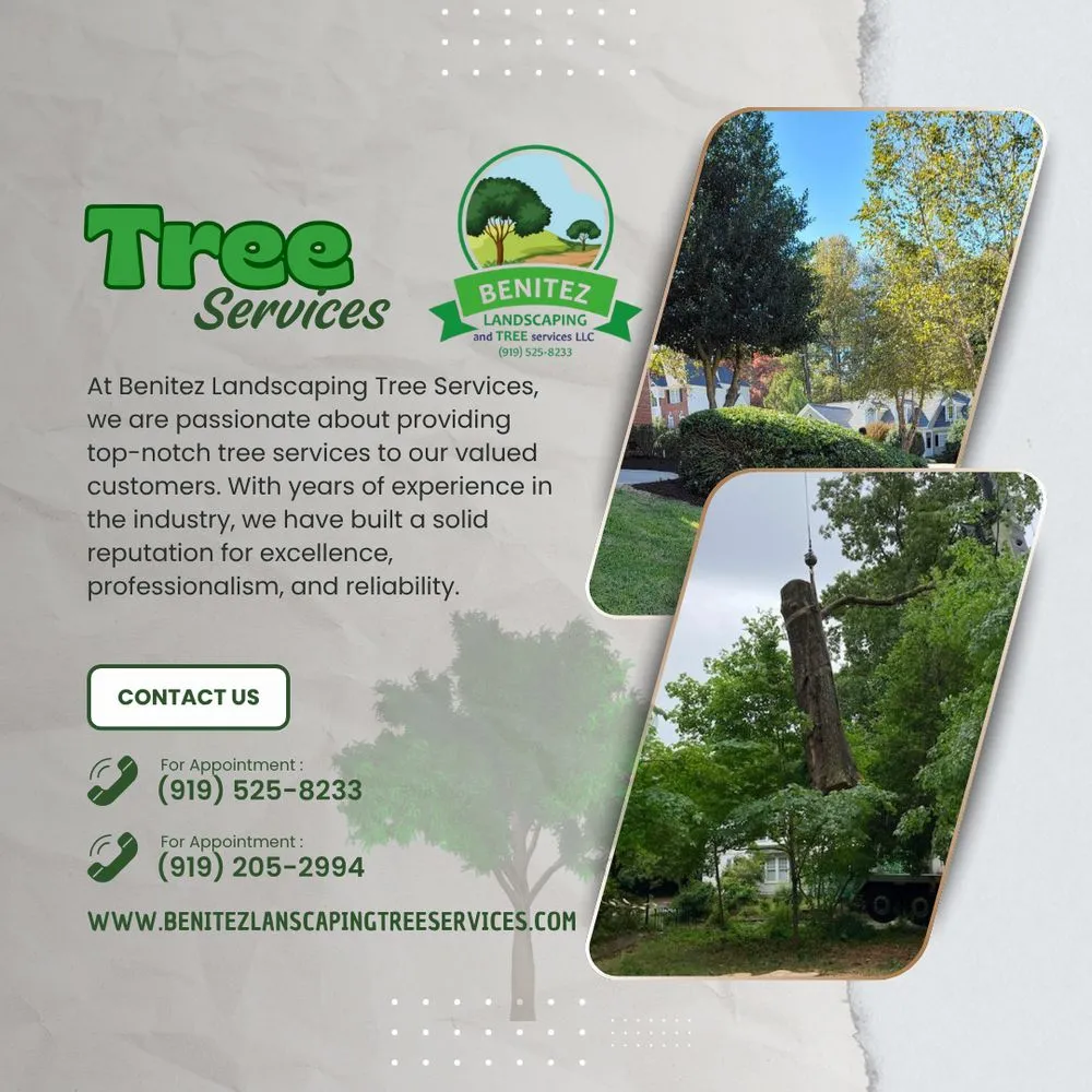 Top-rated lawn care service in Raleigh, NC by Benitez Landscaping & Tree Services - Raleigh