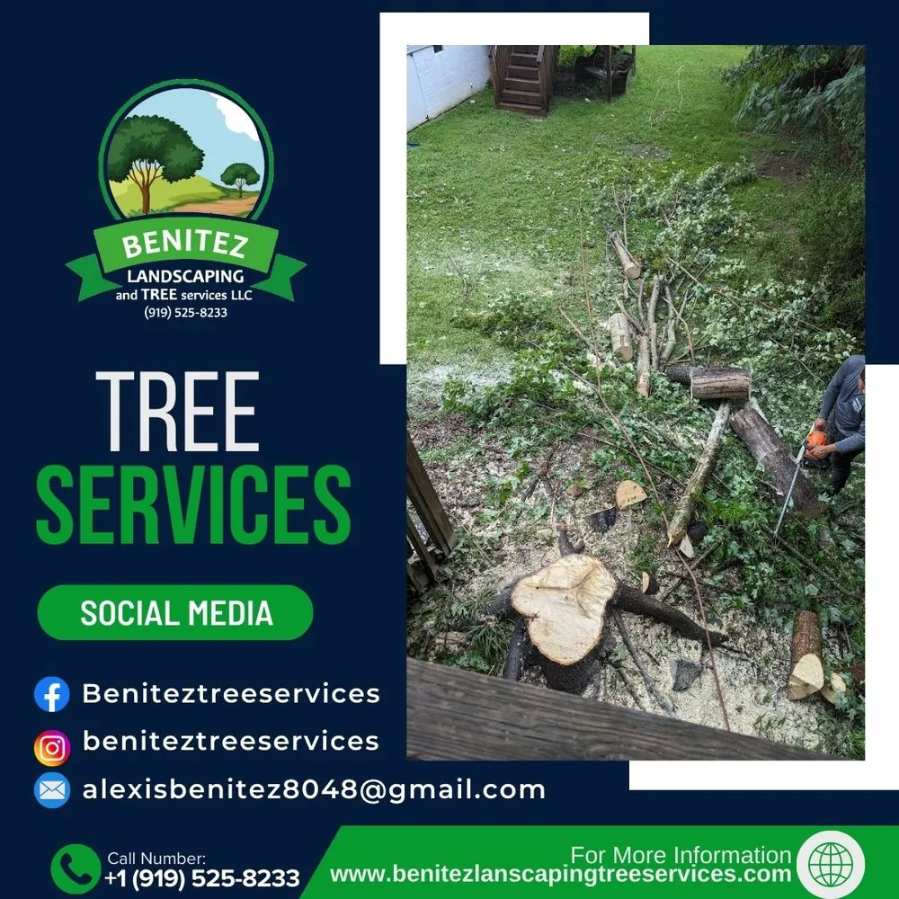 Affordable garden landscaping in Raleigh, NC - Benitez Landscaping & Tree Services - Raleigh