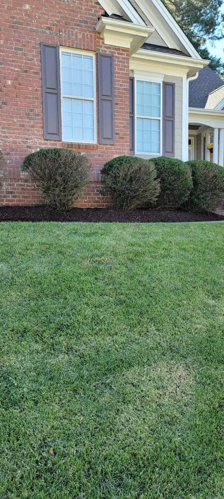 Trusted outdoor landscaping experts serving Raleigh, NC - Benitez Landscaping & Tree Services - Raleigh