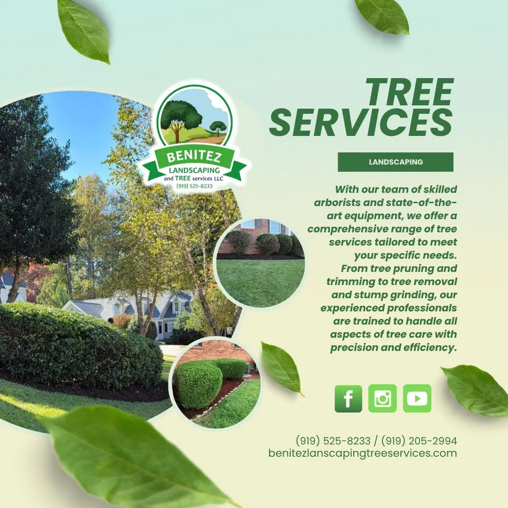 Top-rated landscaping services for outdoor upgrades across Raleigh, NC - Benitez Landscaping & Tree Services - Raleigh