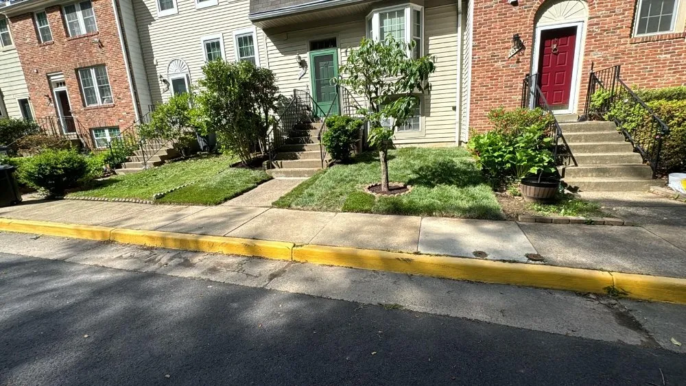 Professional yard cleanup service for homes across Arlington, VA - Benitez Landscaping Pro Services