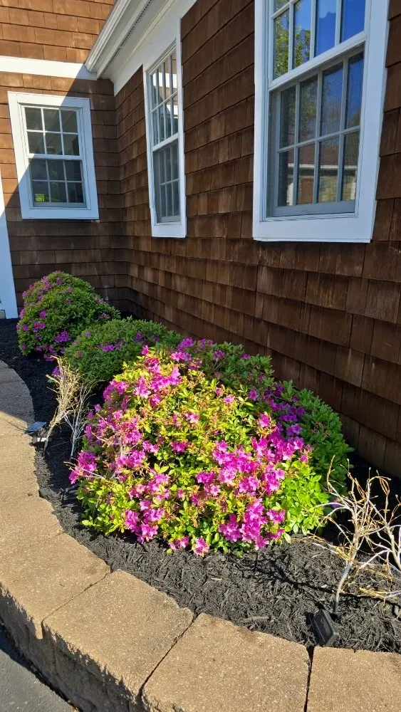 Custom residential landscaping in Arlington, VA - Benitez Landscaping Pro Services