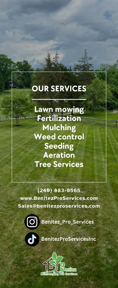 Affordable garden landscaping in Arlington, VA - Benitez Landscaping Pro Services
