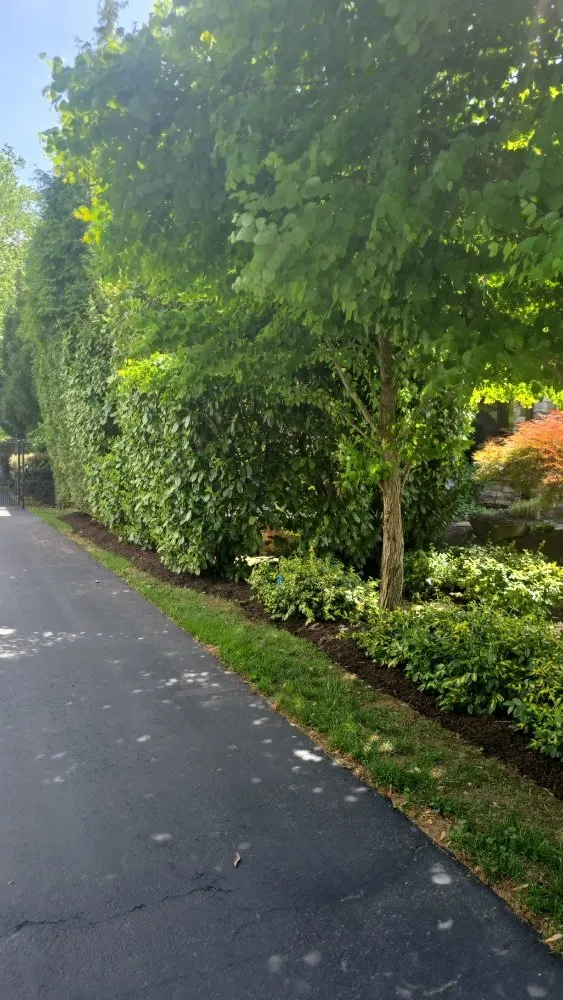 Expert landscaping services for residential properties in Arlington, VA by Benitez Landscaping Pro Services