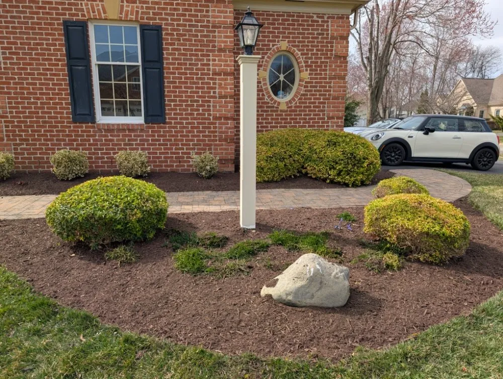 Trusted yard maintenance in Arlington, VA - Benitez Landscaping Pro Services