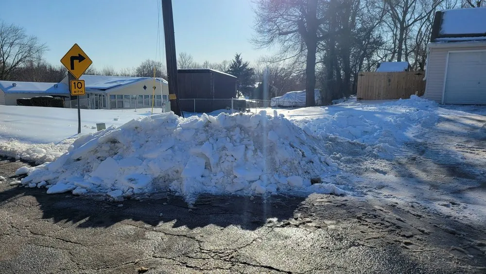 Top-rated landscaping services experts serving Arlington, VA - Benitez Landscaping Pro Services