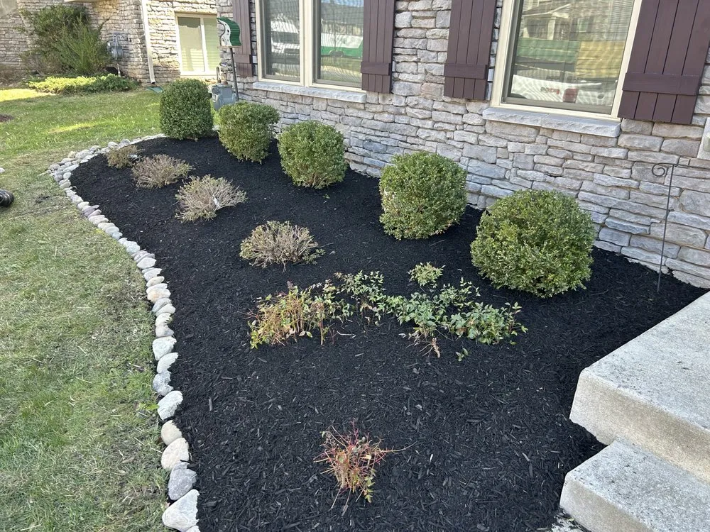 Expert yard maintenance experts serving Arlington, VA - Benitez Landscaping Pro Services