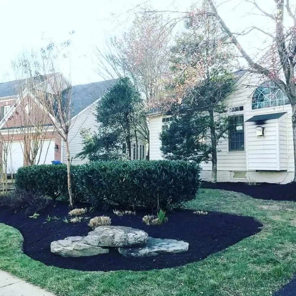 Custom lawn care service in Arlington, VA by Benitez Landscaping Pro Services