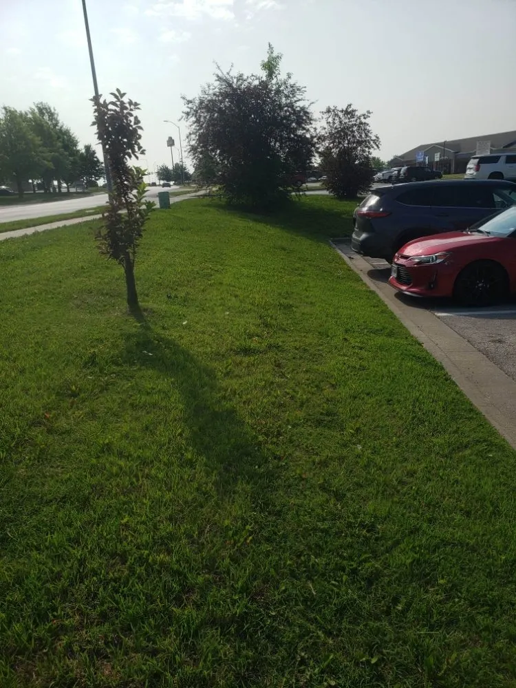 Reliable landscape design for year-round maintenance across Kansas City, MO - Benitez Lawn And Landscape