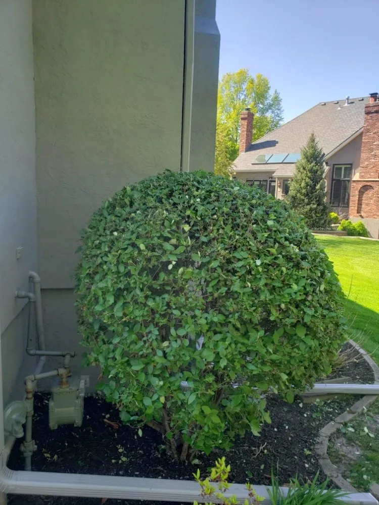 Local landscaping services in Kansas City, MO by Benitez Lawn And Landscape