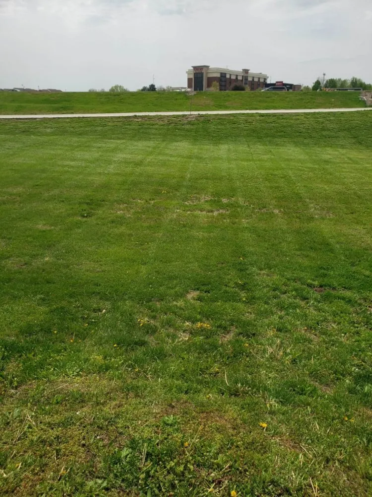 Trusted lawn care service for beautiful yards in Kansas City, MO by Benitez Lawn And Landscape