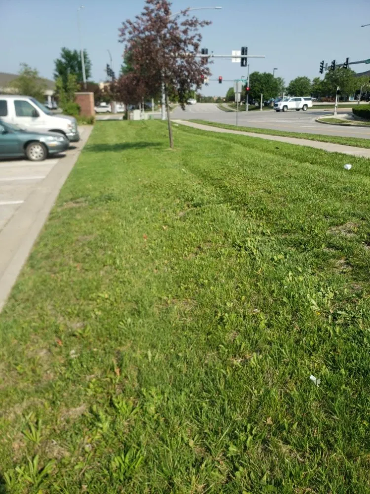 Professional yard cleanup service near you across Kansas City, MO - Benitez Lawn And Landscape