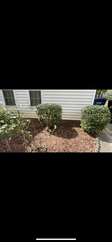 Local lawn mowing service for residential properties across Sanford, NC - Benitez Lawn Care Services