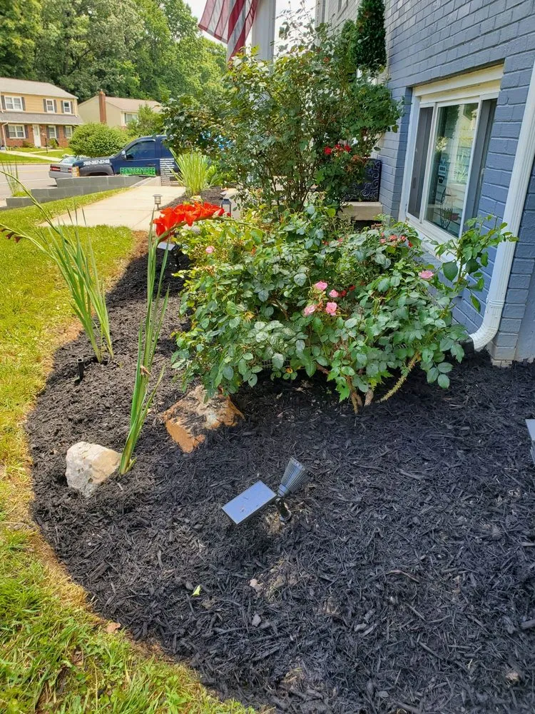 Top-rated residential landscaping in Fairfax, VA by Benitez Tree & Landscaping