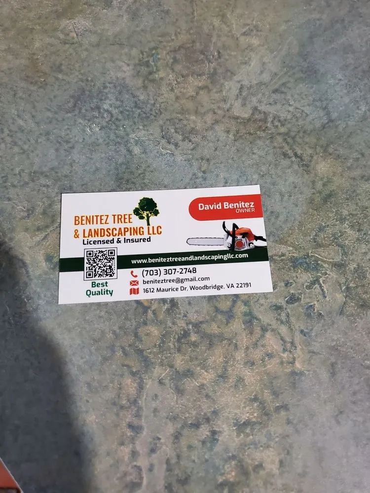 Custom lawn mowing service with custom design across Fairfax, VA - Benitez Tree & Landscaping