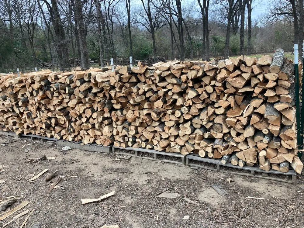 Local yard maintenance in Waco, TX by Benitez Tree and Shrub Service