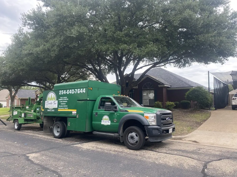 Professional yard maintenance for year-round maintenance in Waco, TX by Benitez Tree and Shrub Service