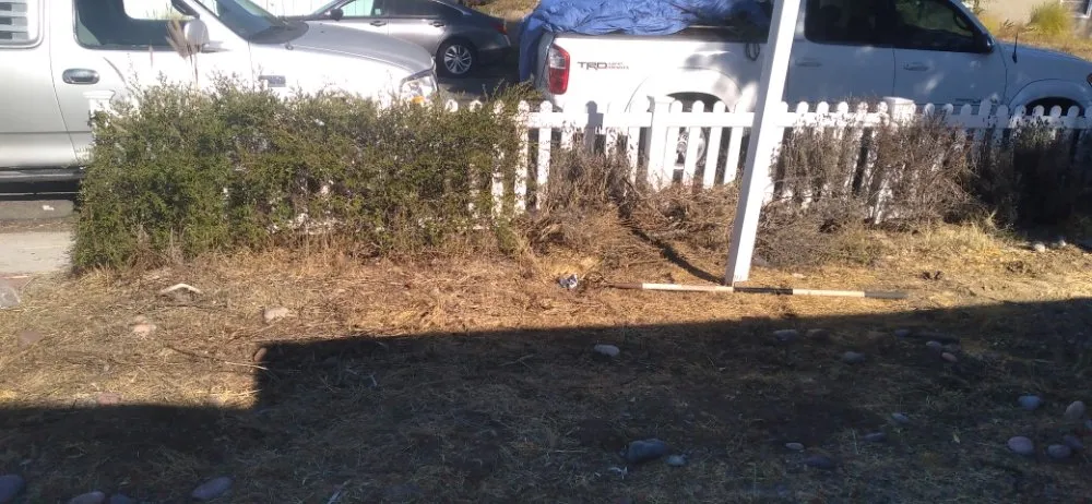 Top-rated landscape installation in San Diego, CA - Benito Landscaping & Maintenance