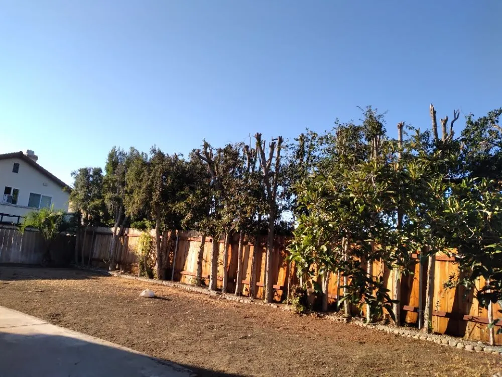 Local lawn mowing service for beautiful yards across San Diego, CA - Benito Landscaping & Maintenance