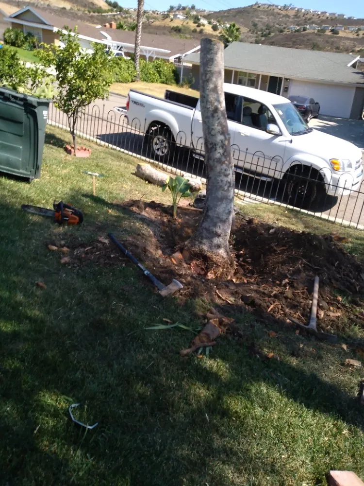 Local residential landscaping in San Diego, CA - Benito Landscaping & Maintenance