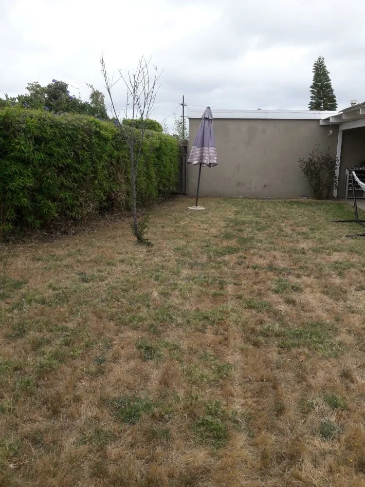 Expert landscape design for outdoor upgrades in San Diego, CA by Benito Landscaping & Maintenance